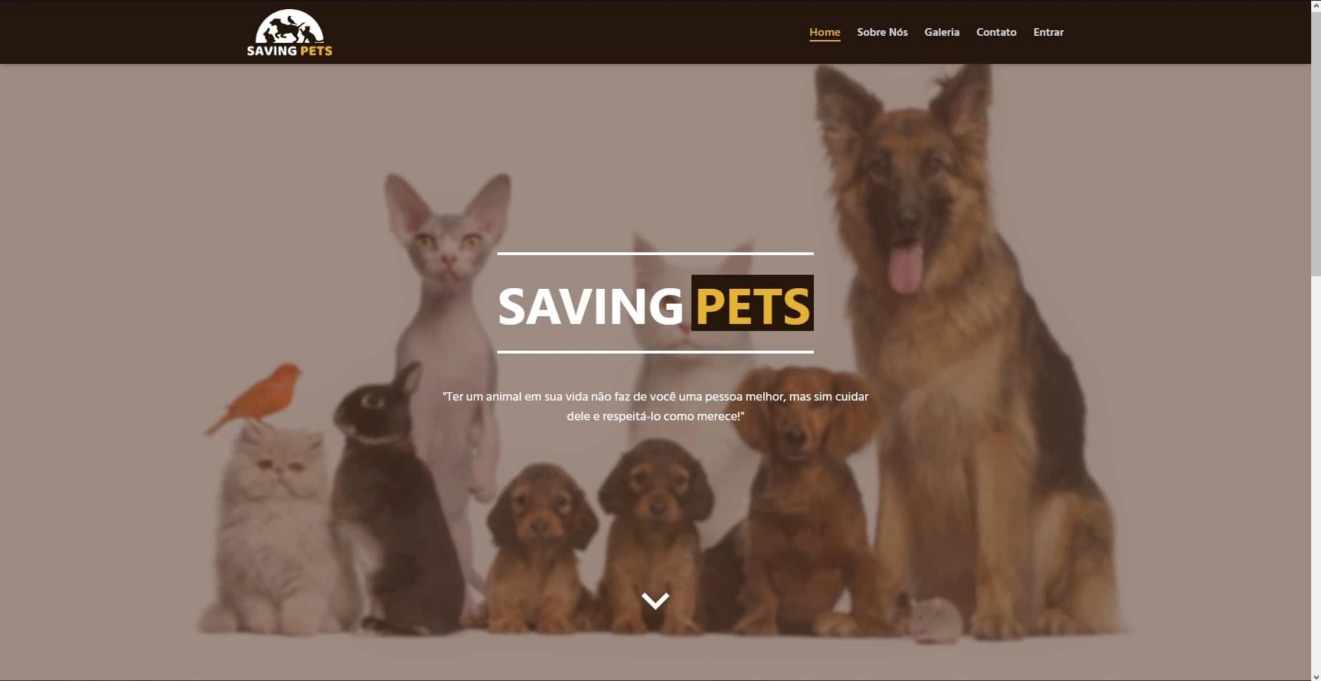 Saving Pets